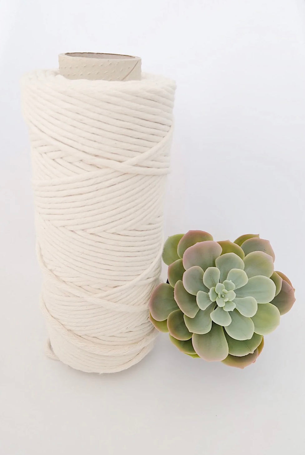 5mm Single Strand Cotton Macrame Cord - Natural